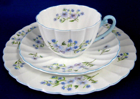 Shelley Cup And Saucer Teacup Trio Blue Rock Ludlow Blue Trim - Antiques And Teacups - 1