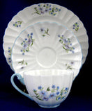 Shelley Cup And Saucer Teacup Trio Blue Rock Ludlow Blue Trim - Antiques And Teacups - 2